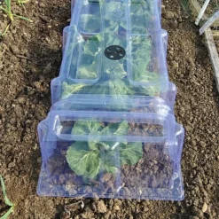 Mini Greenhouse Cloche 7 Mini Greenhouse Cloche -US Garden Supplies Sales 2024 CLOC V69804 B