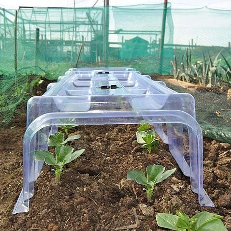 Mini Greenhouse Cloche 2 Mini Greenhouse Cloche - Image 2