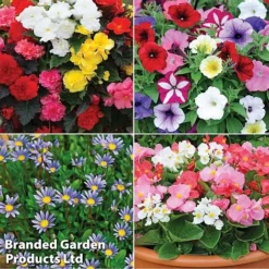 Nurseryman’s Choice Summer Favourites -US Garden Supplies Sales 2024 TM 4image nurseryman without watermark