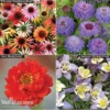 Garden Ready Perennial Collection