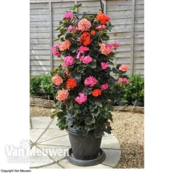 Tower Pot™ Black & Gold -US Garden Supplies Sales 2024 TOWE V48803P C