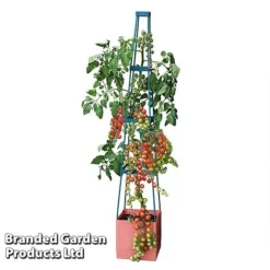 Garden Grow Self Watering 4 Tier Tomato Tower -US Garden Supplies Sales 2024 TOWE TOMSELFWA T045925