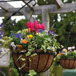 Garden Grow Hanging Basket & Liner -US Garden Supplies Sales 2024 basket21