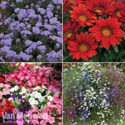 Summer Bedding Collection -US Garden Supplies Sales 2024 pic33