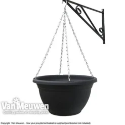 Viola (Ice Babies) 'Teardrops Mixed' (Pre-planted Hanging Basket) -US Garden Supplies Sales 2024 z vm pre plantedbasket